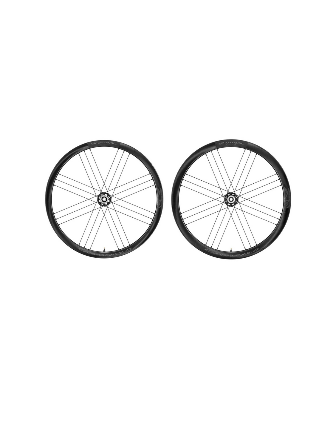 Ruote Campagnolo bici da corsa Shamal