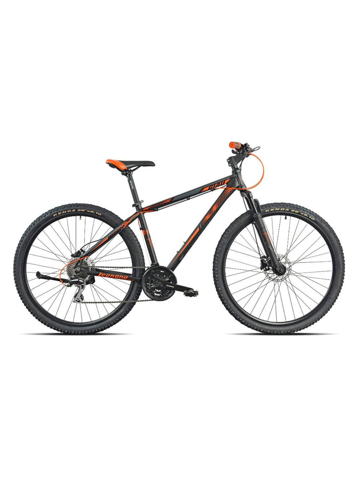 Legnano bicicletta mtb L705 GIAU 29″