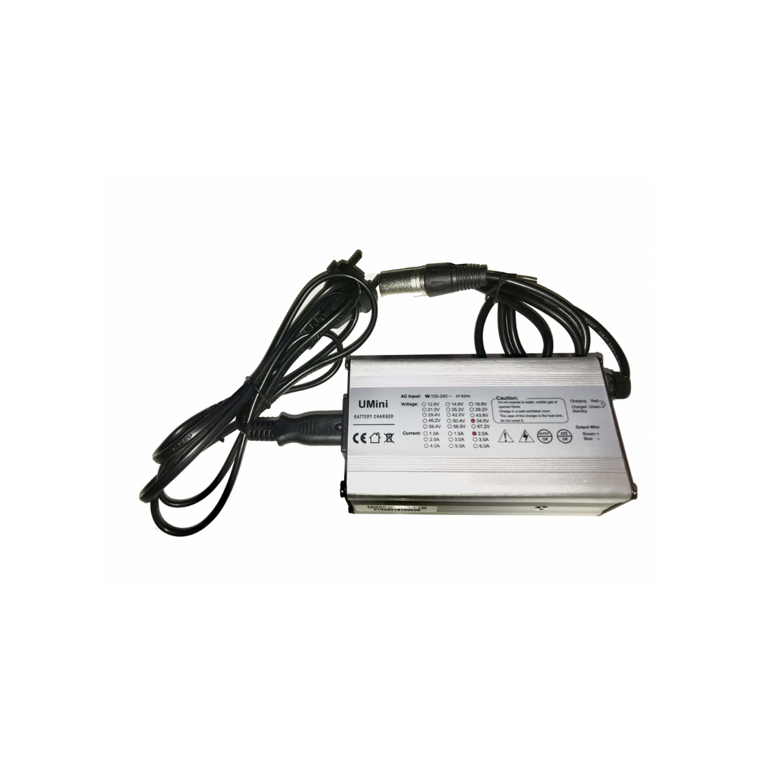 Caricabatteria Bonin 48V-2Ah per batterie al litio c/fu
