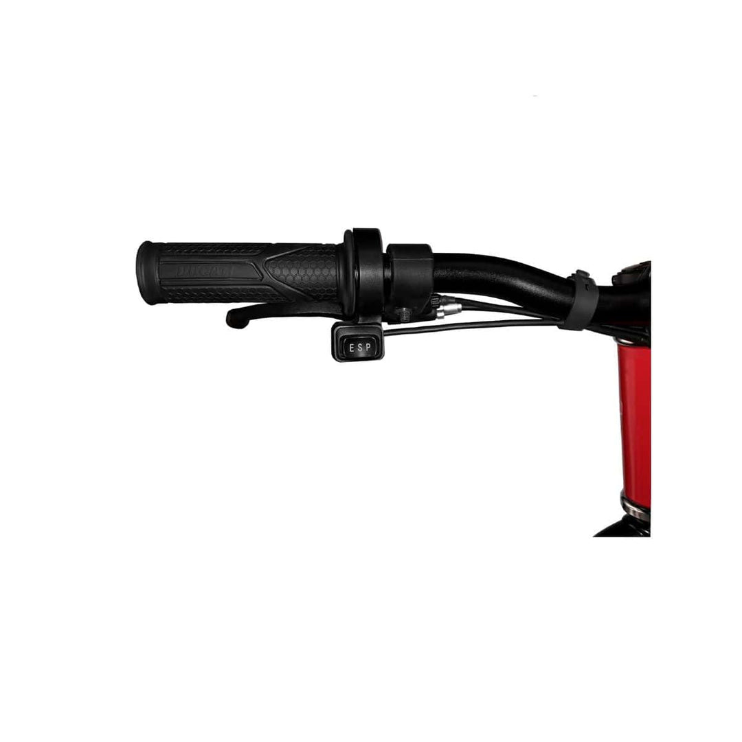 Ducati e-moto kids 16"