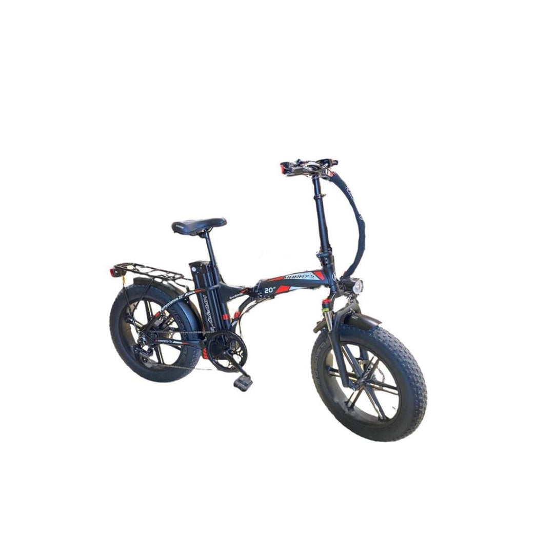 Ebike Fat Bike Harry&