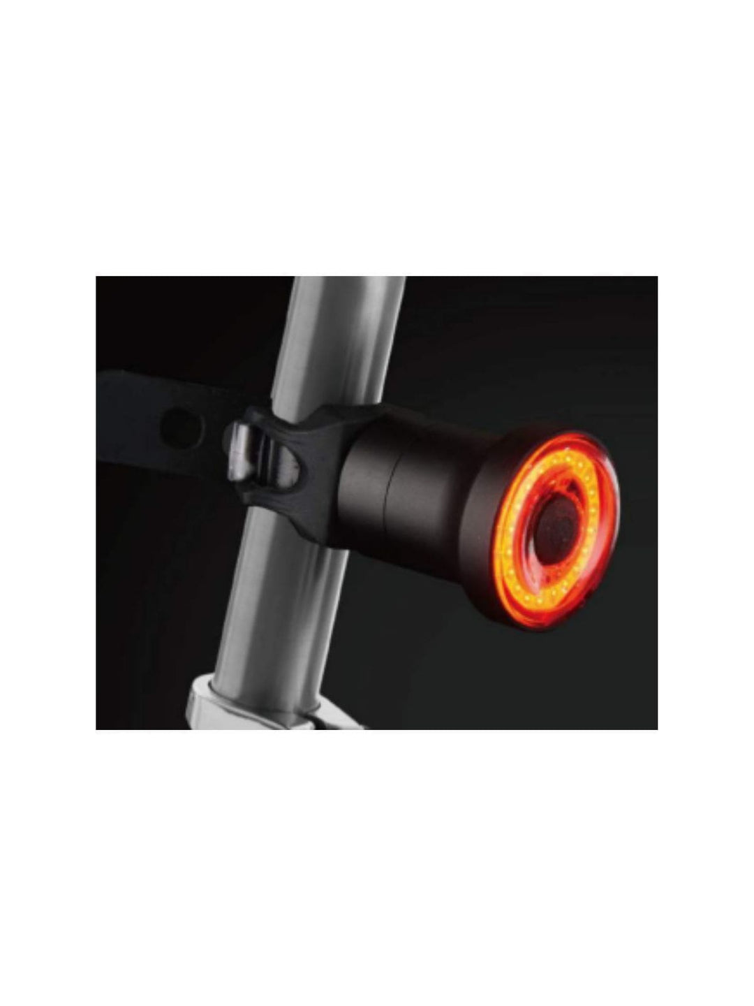 Fanale posteriore attacco sottosella ricaricabile USB Raypal