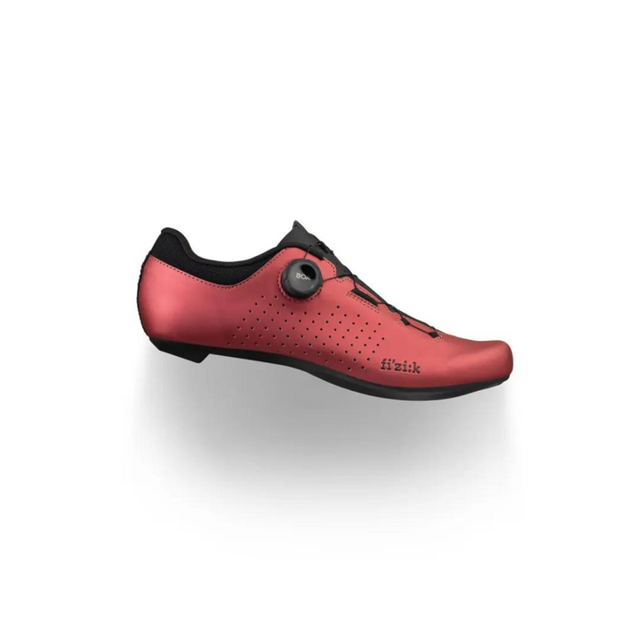 Scarpe bici da strada Fizik Vento Omna
